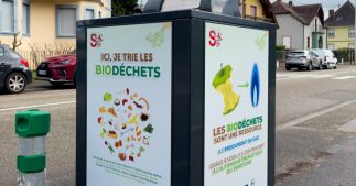 Un an après l'obligation, le tri des biodéchets reste marginal Un an après l'obligation, le tri des biodéchets reste marginal