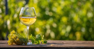 Dry January : les boissons sans alcool, une alternative écologique ? Dry January : les boissons sans alcool, une alternative écologique ?