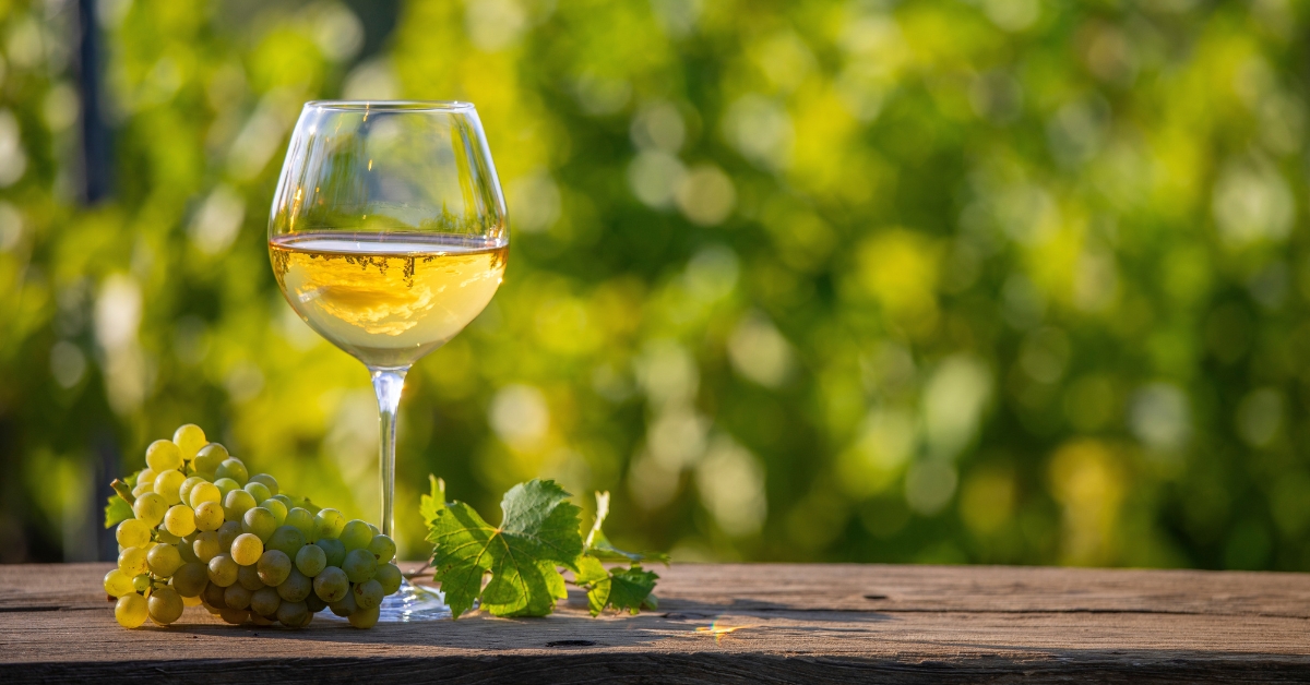 Dry January : les boissons sans alcool, une alternative écologique ? Dry January : les boissons sans alcool, une alternative écologique ?