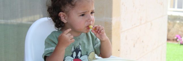 Petit guide de l'introduction des morceaux dans l'alimentation d'un bébé