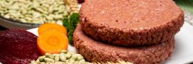 Le “steak végétal” bientôt interdit en Europe ? Bruxelles tranche