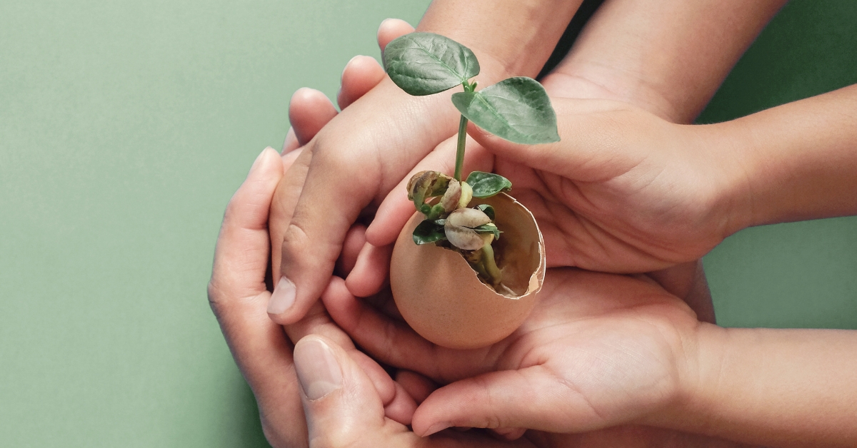 Connaissez-vous les aliments à « bilan carbone négatif » ?