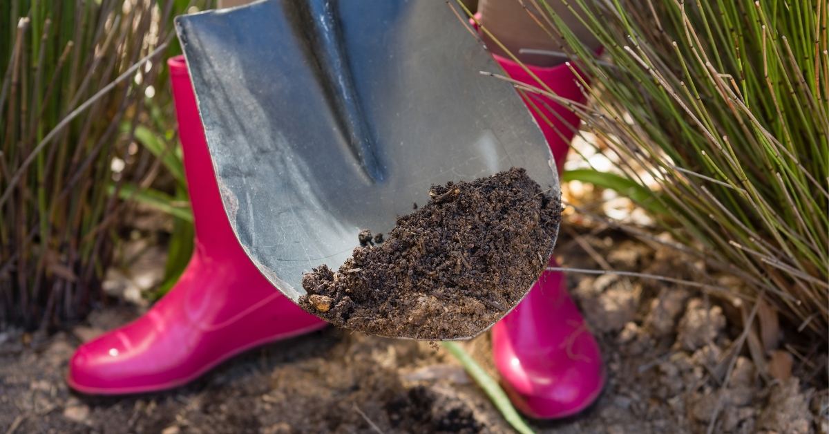 Cette année, enterrez un slip dans votre jardin !