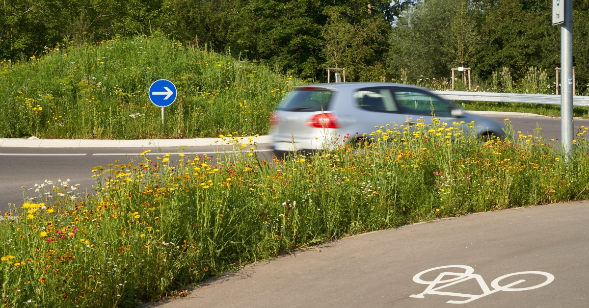Les ronds-points « à la hollandaise » arrivent en France : ce qu'il faut savoir Les ronds-points « à la hollandaise » arrivent en France : ce qu'il faut savoir