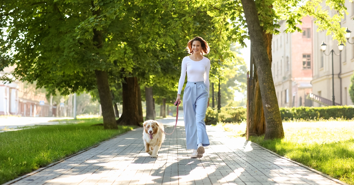 Quelles sont les villes françaises les plus engagées pour les animaux en 2024 ?