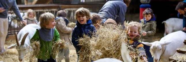Faut-il envoyer ses enfants à la ferme pour leur éviter les allergies ?