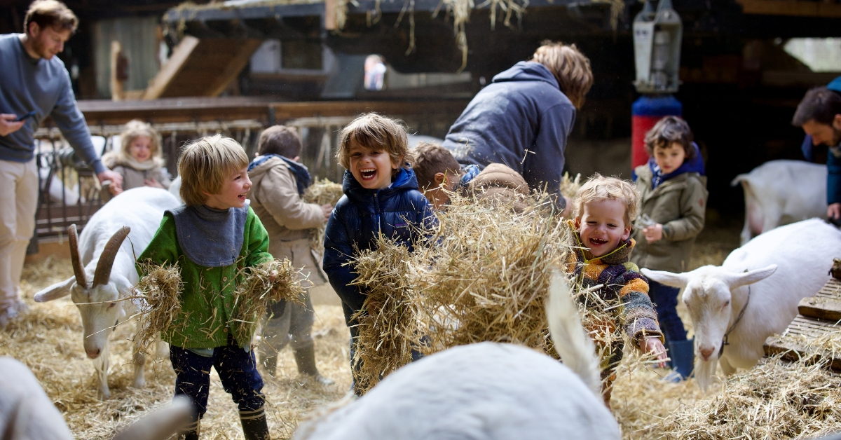 Faut-il envoyer ses enfants à la ferme pour leur éviter les allergies ?