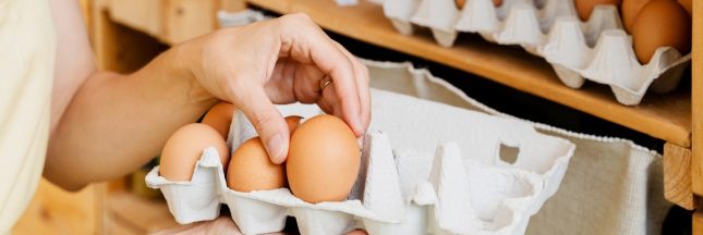 pénurie oeufs france