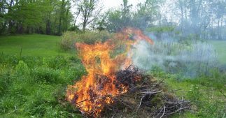 Peut-on encore brûler des déchets végétaux dans son jardin ? Peut-on encore brûler des déchets végétaux dans son jardin ?