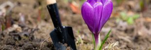 Jardinage en avril : les travaux essentiels pour un printemps florissant