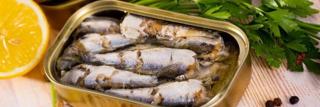 sardines boite