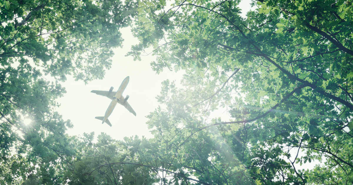 Voyage écolo :  tenez-vous compte de l'impact écologique dans le choix de vos vacances ?