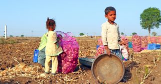 Derrière nos assiettes : exploitation, déforestation et injustice Derrière nos assiettes : exploitation, déforestation et injustice