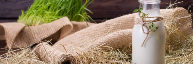 Qu'est-ce que le label