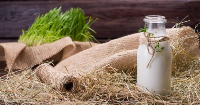 Connaissez-vous le lait de foin ?