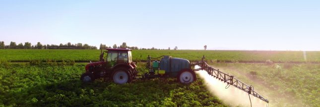 le cadmium s’invite dans nos céréales, nos patates…