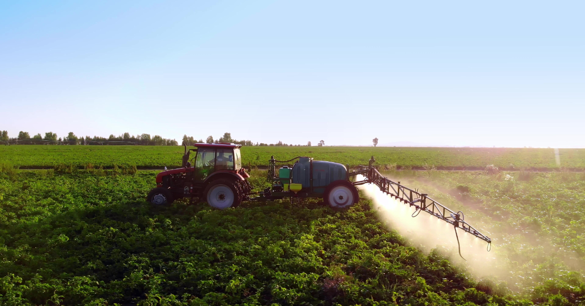 Journée mondiale de l'environnement : et si on arrêtait de saupoudrer nos patates... au cadmium ?
