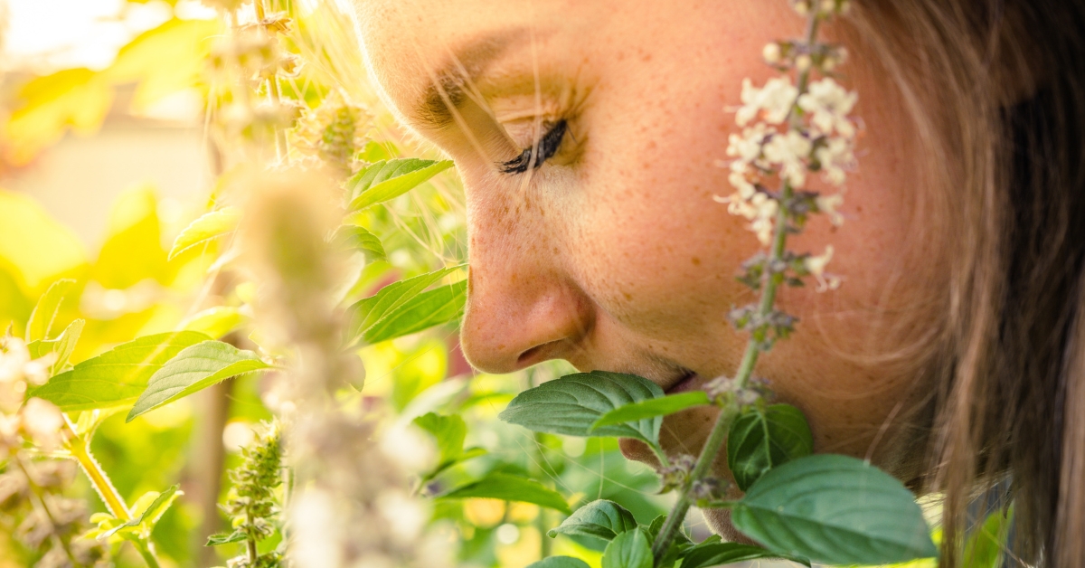 Cueillez vos cosmétiques naturels au jardin Cueillez vos cosmétiques naturels au jardin