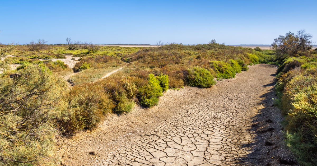 Sécheresse : l'été 2025 sera très difficile