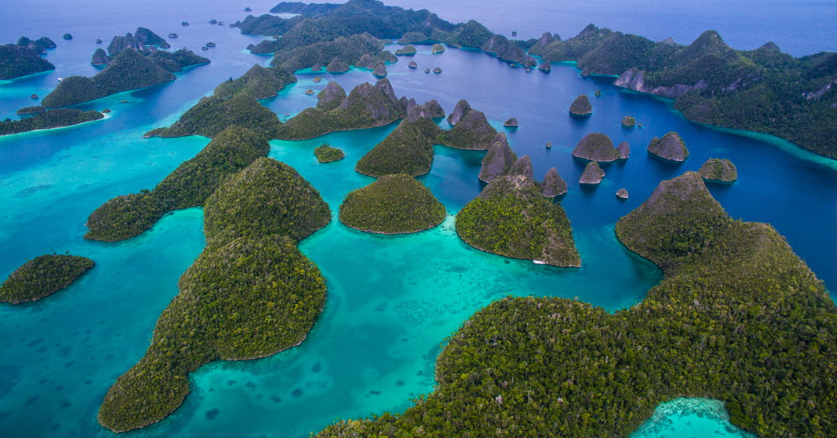 Un joyau des océans mis en danger par les voitures électriques