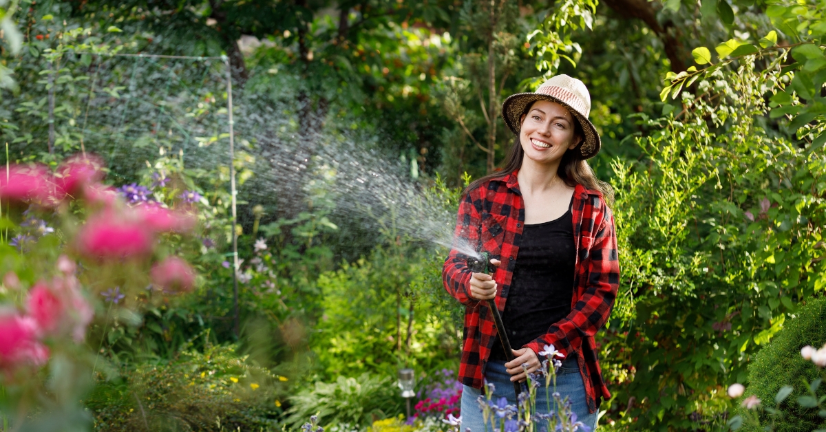 Plantes : pourquoi il faut éviter d'arroser en pleine journée