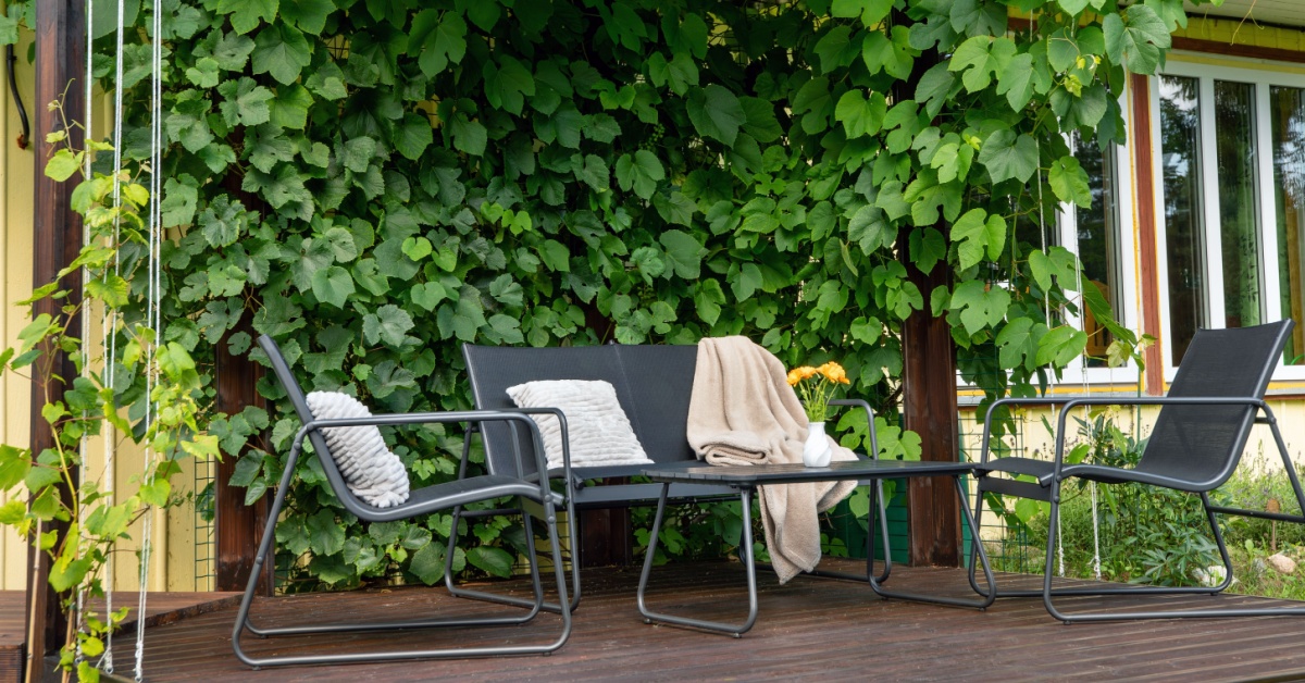 Comment créer des zones d'ombre au naturel