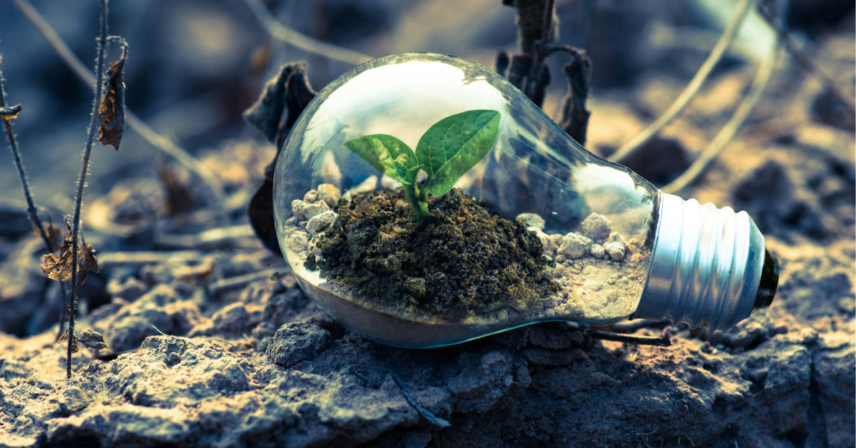 elmy : fournisseur d'électricité vraiment verte labellisé VertVolt