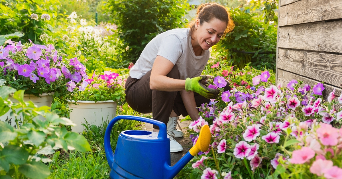 Entretien des jardins : adieu au crédit d'impôt ?