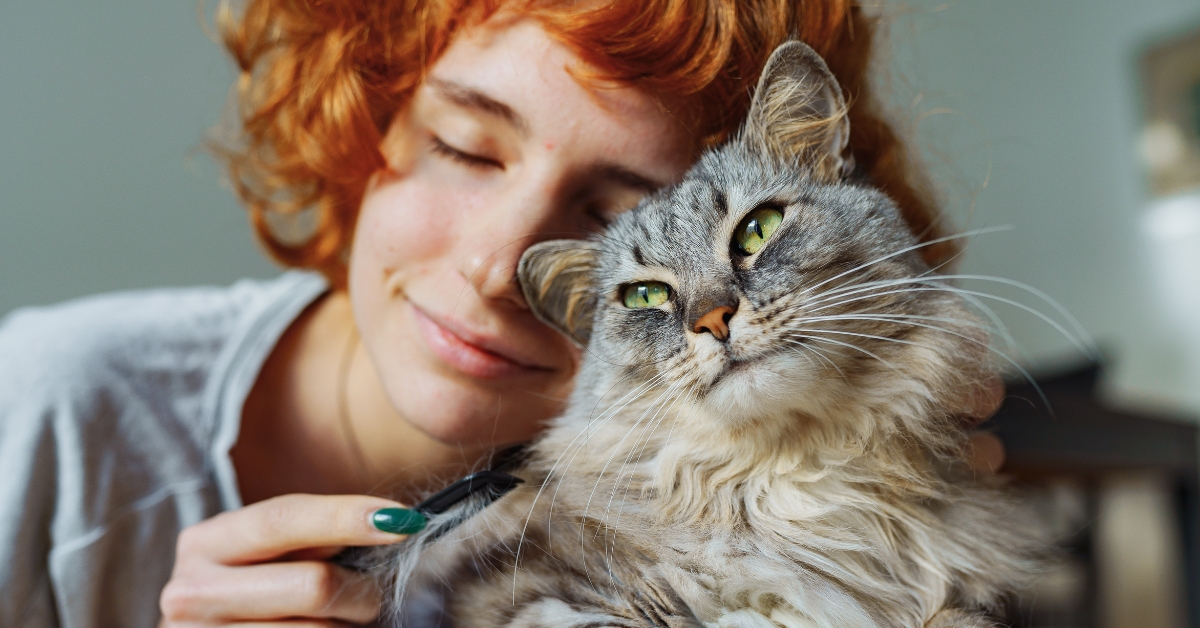 Les chats sont-ils les seuls animaux à ronronner ?