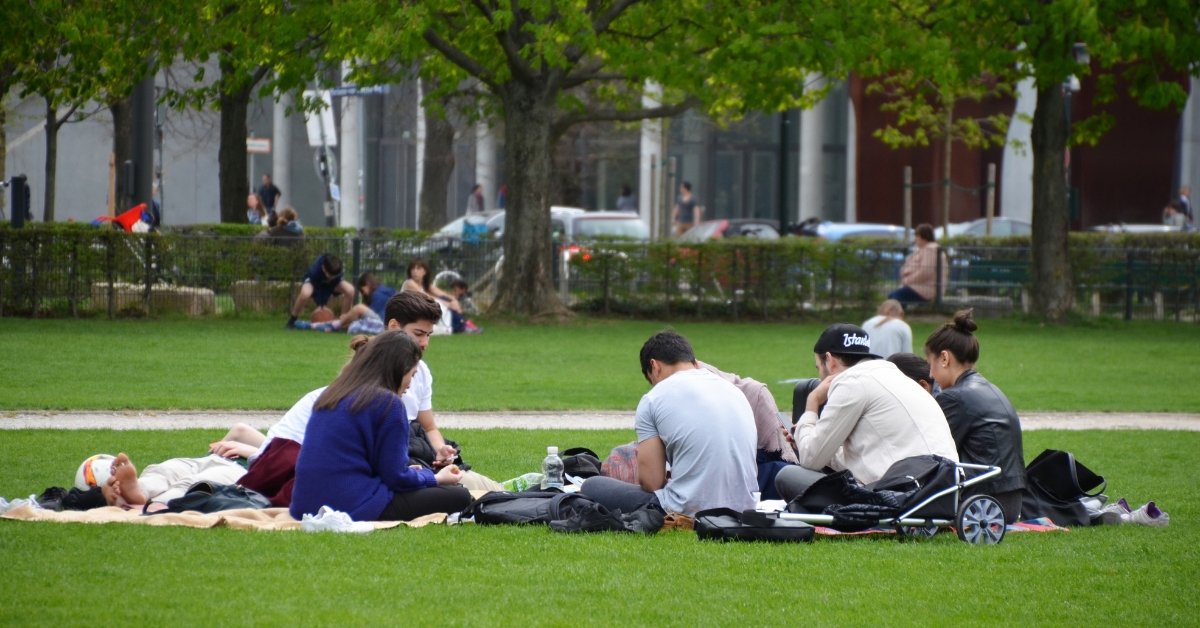 Les tiques vont-elles envahir les villes ?