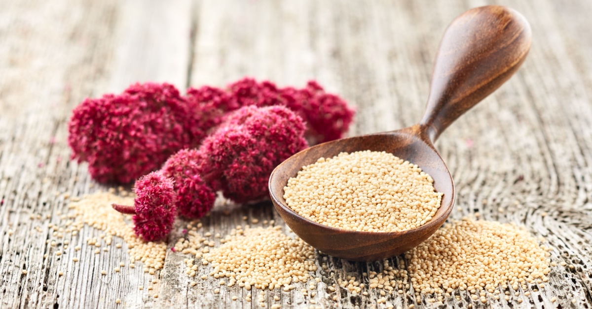 L'amarante : apprivoisez la graine aztèque miracle