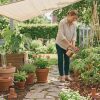 Comment prendre soin de vos plantes pendant les vacances ?
