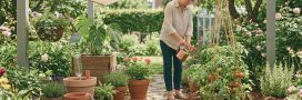Comment prendre soin de vos plantes pendant les vacances ?