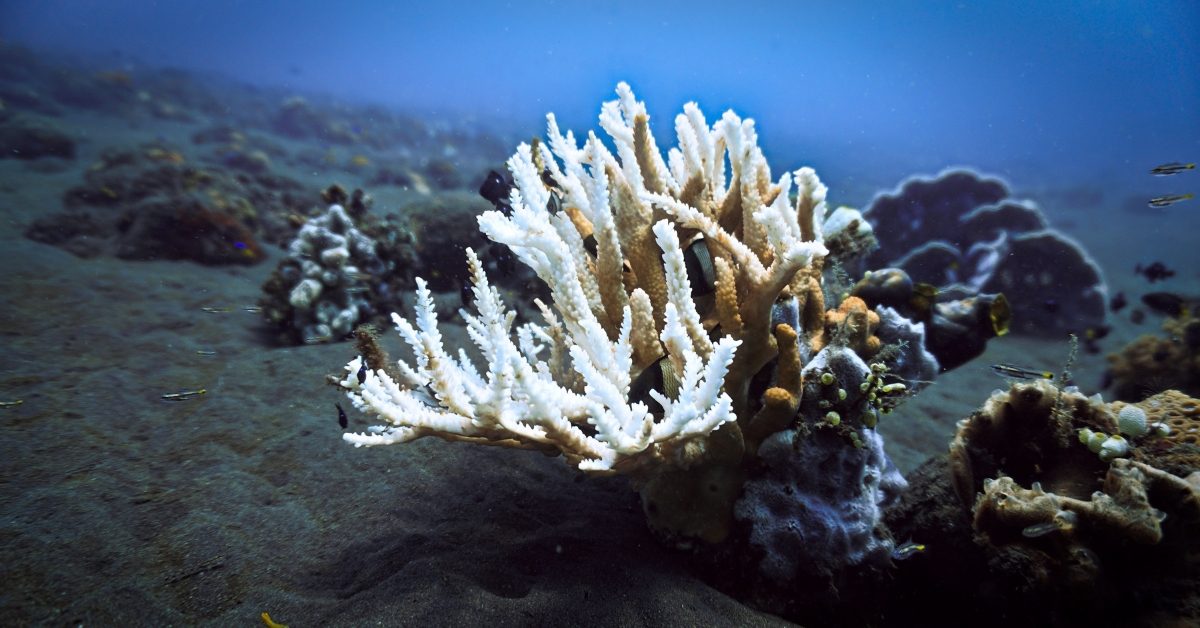 La septième limite planétaire bientôt franchie ? La septième limite planétaire bientôt franchie ?