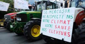 Mercosur : un accord qui met en péril nos agriculteurs et le climat ?