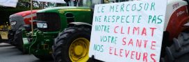 Mercosur : un accord qui met en péril nos agriculteurs et le climat ?
