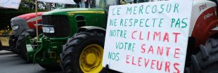 Mercosur : un accord qui met en péril nos agriculteurs et le climat ?