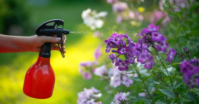 Mon jardin : le cuivre, allié traditionnel ou faux ami ? Mon jardin : le cuivre, allié traditionnel ou faux ami ?
