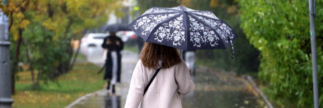 Nuages contaminés : la France sous une pluie de pesticides