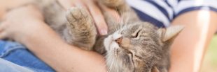 Câliner votre chat fait aussi du bien à votre cerveau