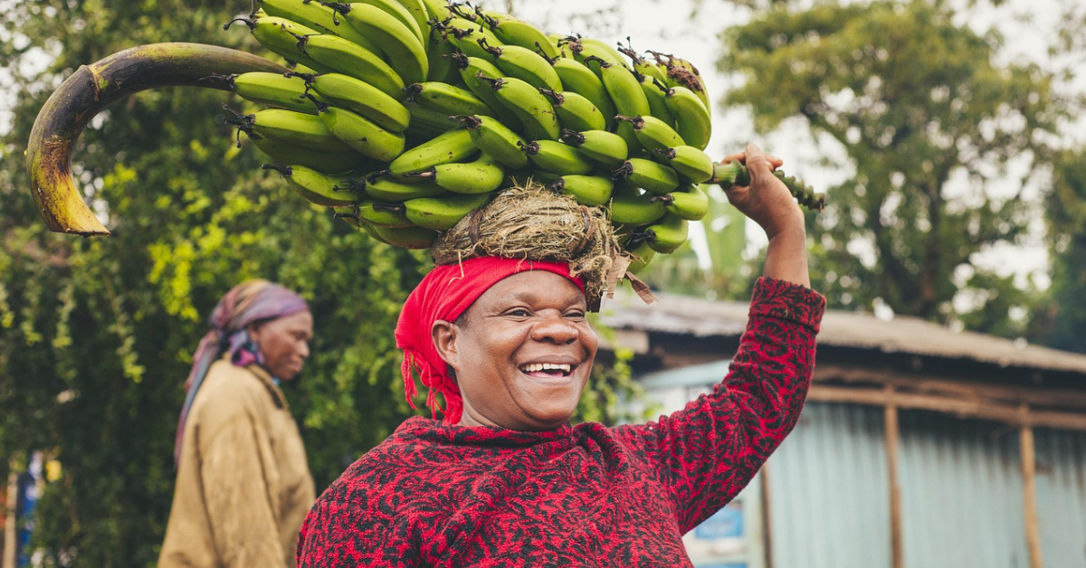 Banane de Côte d'Ivoire : GBH mise sur l'excellence environnementale