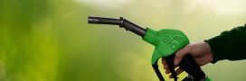 Biocarburants : une fausse solution verte qui aggrave les émissions de CO₂ Biocarburants : une fausse solution verte qui aggrave les émissions de CO₂
