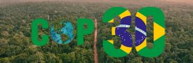 COP30 à Belém : tout savoir sur le sommet mondial pour le climat