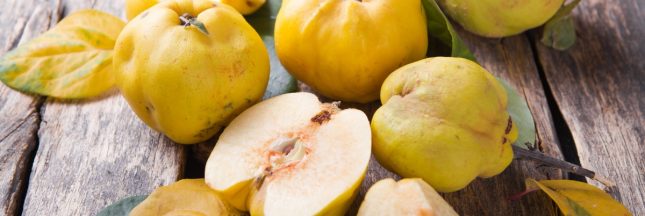 Le coing : bien plus qu'un simple fruit à confiture