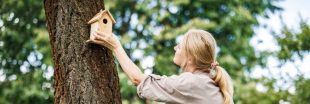 Comment protéger les nichoirs à oiseaux ?