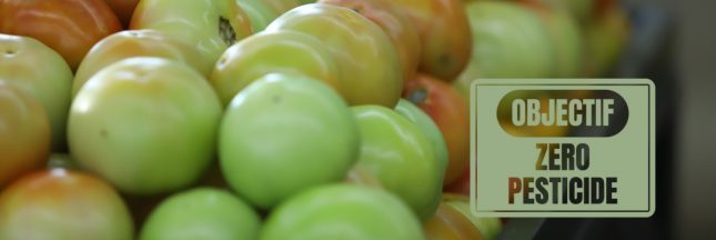 Label « Zéro résidu de pesticides » : un compromis crédible entre bio et conventionnel ?