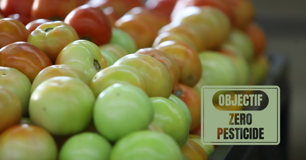 Label « Zéro résidu de pesticides » : un compromis crédible entre bio et conventionnel ? Label « Zéro résidu de pesticides » : un compromis crédible entre bio et conventionnel ?