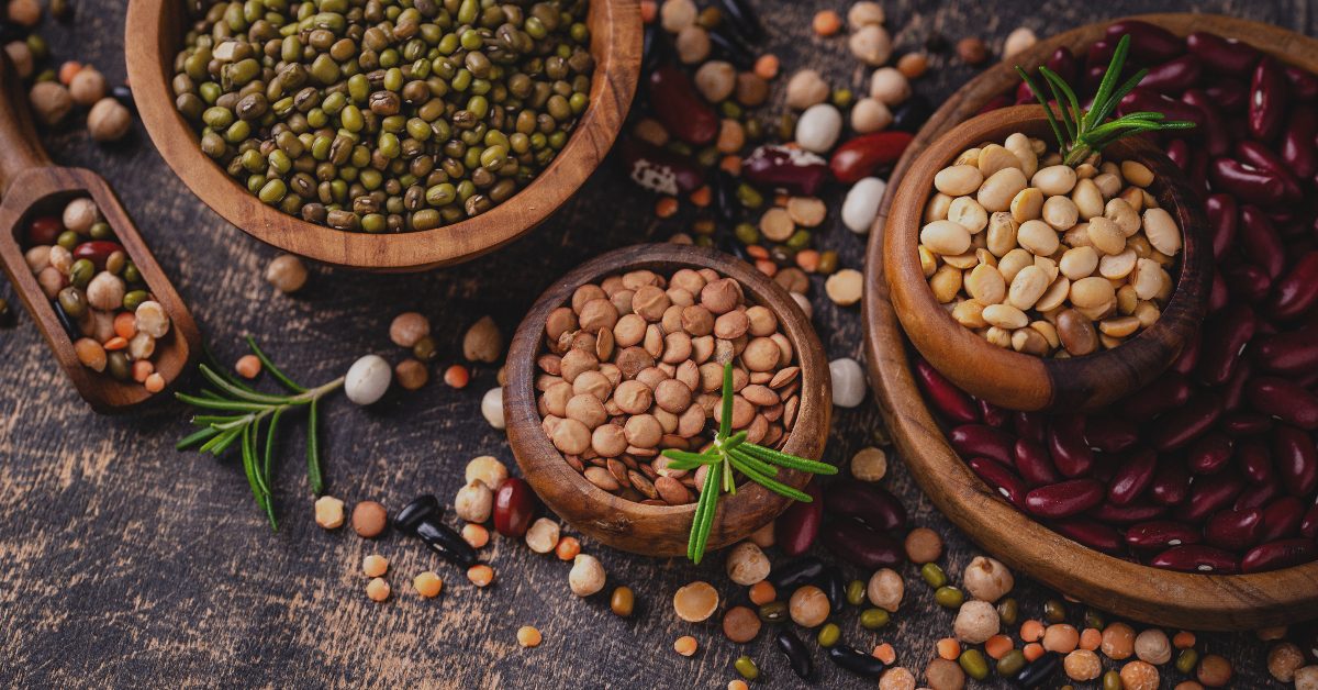 Légumineuses : ces protéines végétales qui nourrissent la planète et l’automne