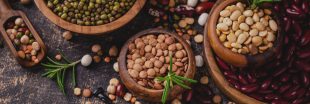 Légumineuses : ces protéines végétales qui nourrissent la planète et l'automne
