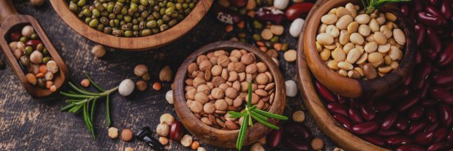 Légumineuses : ces protéines végétales qui nourrissent la planète et l'automne